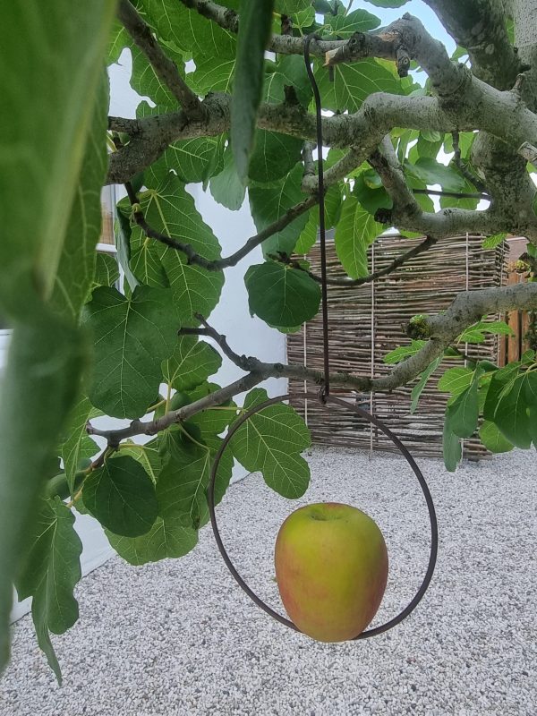 Birds food ball