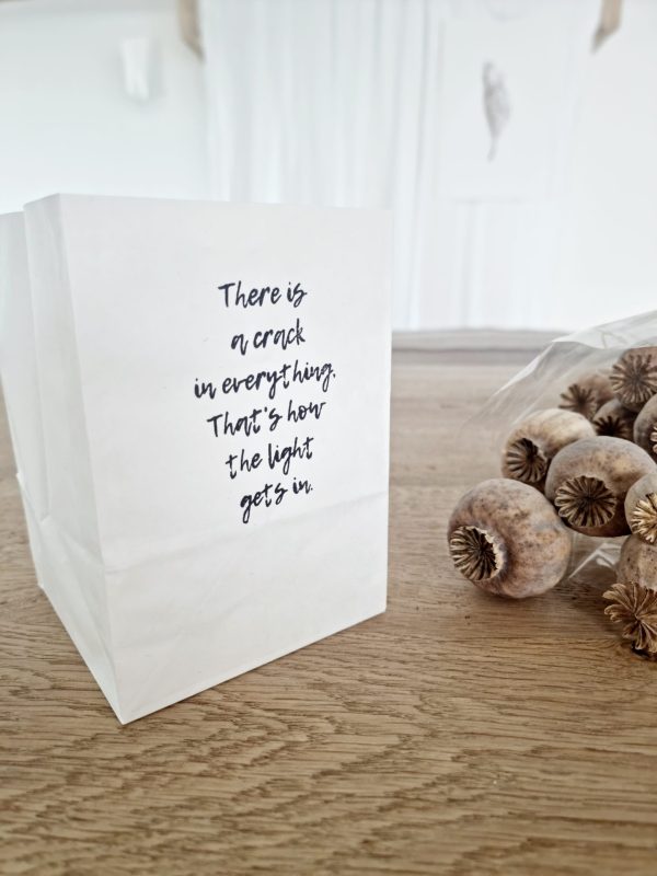 Bag for light