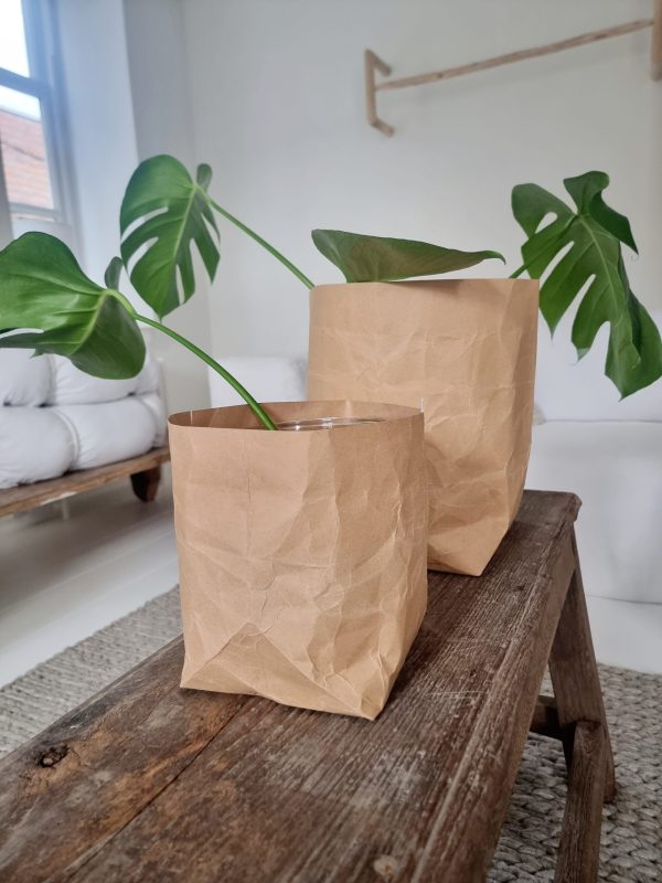 Set kraft paper bags